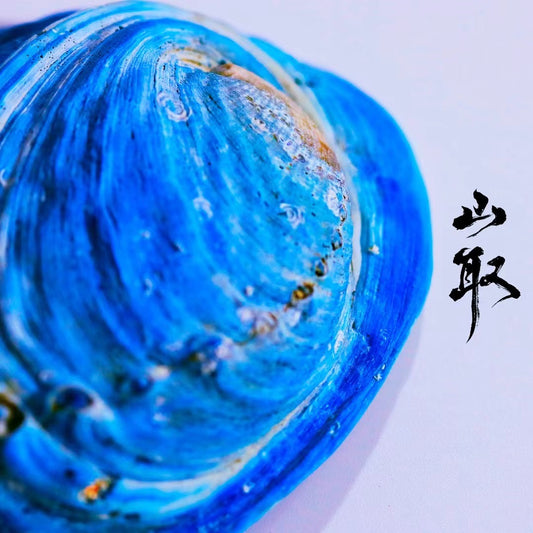 【053】Blue abalone shell(from New Zeland ) - animal pigment