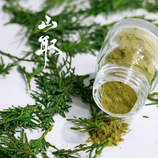 platycladus orientalis-plant pigment